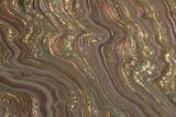 Polished Tiger Iron Stromatolite Slab - Billion Years #221833-1